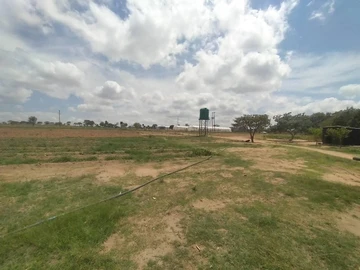 Farm & Agricultural Land