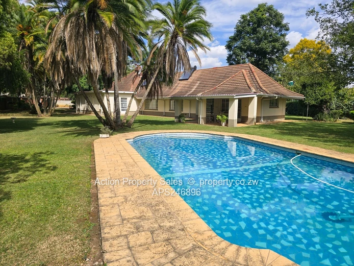 Lovely Fully Furnished House! 