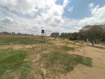 Farm & Agricultural Land